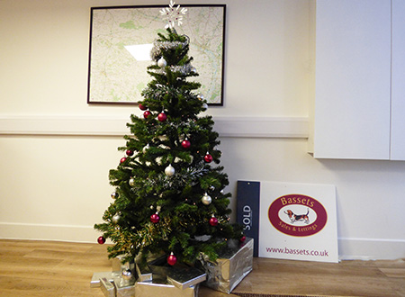 Christmas tree on floor basset hound